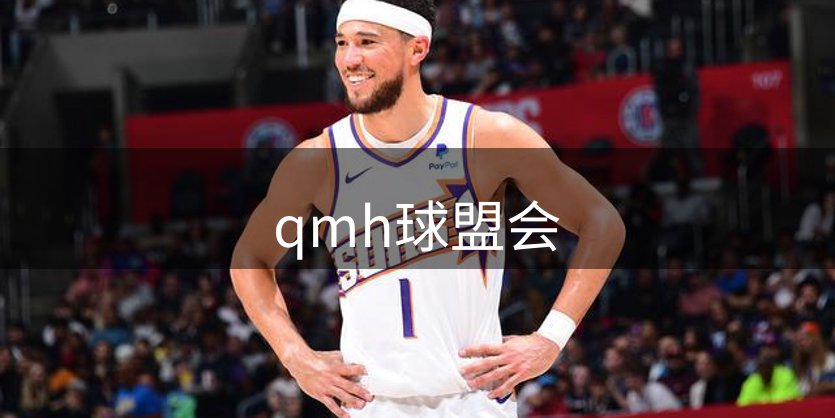 平台概况